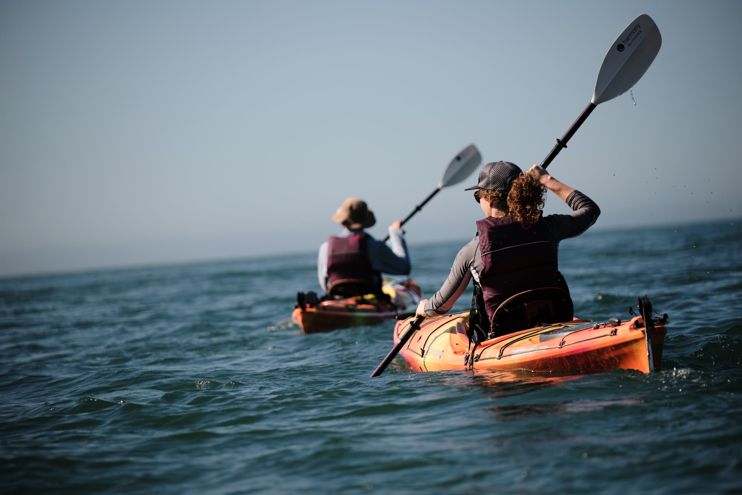 Brookings Ocean Wildlife Viewing Kayak Tour
