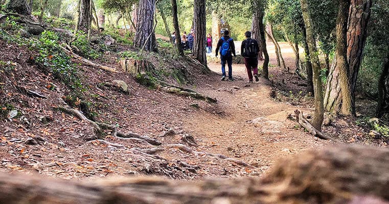 Exclusive Barcelona Forest: Best Views and Green Lung