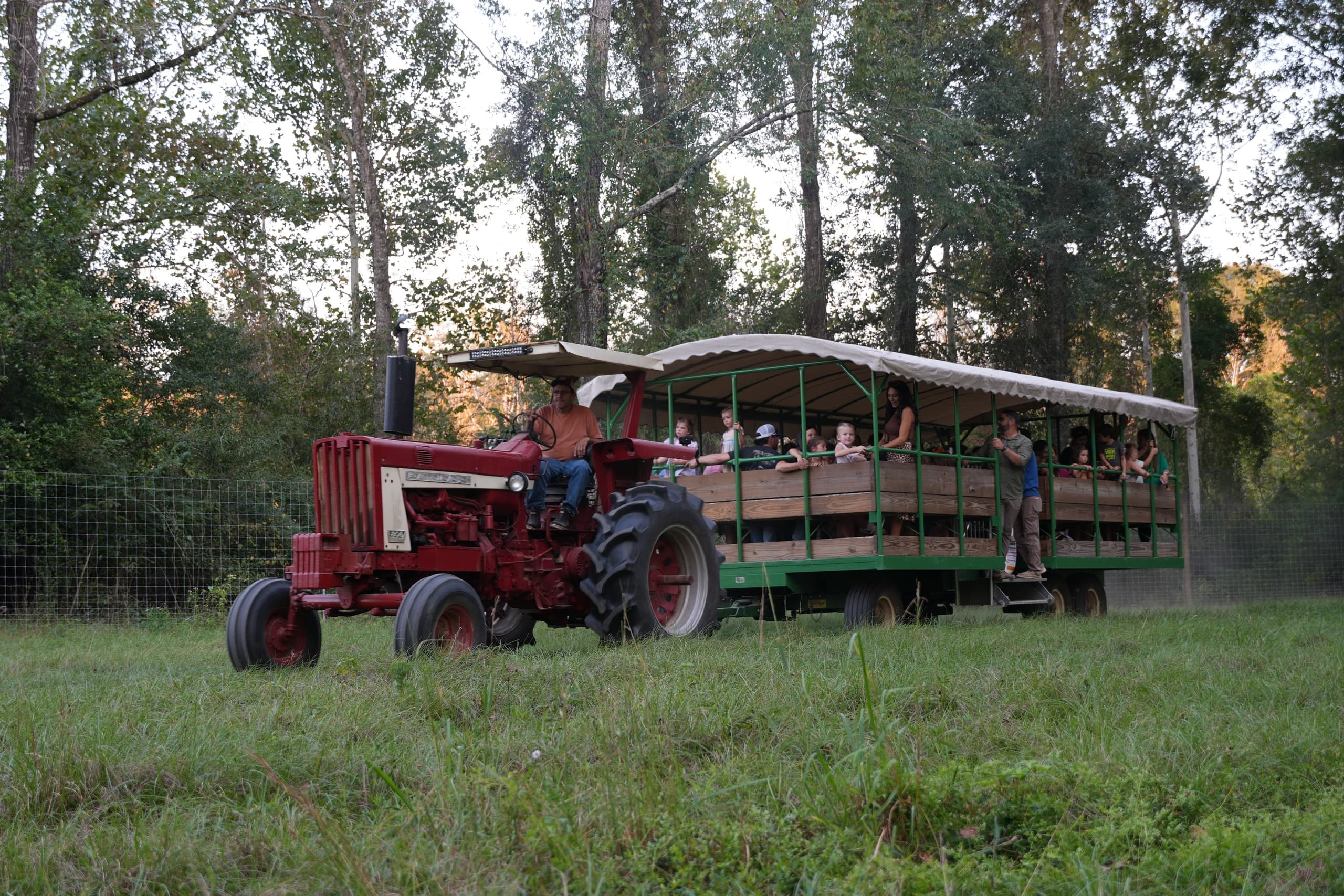 Safari Wagon Experience + Zipline