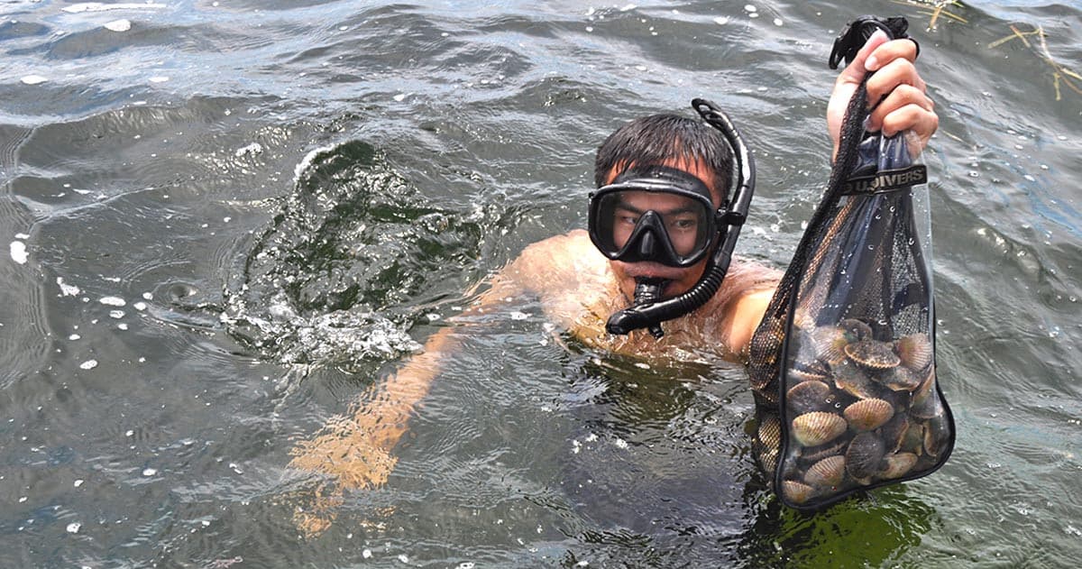 Homosassa Scalloping