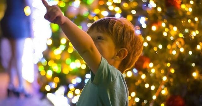 Private Christmas Lights Tour