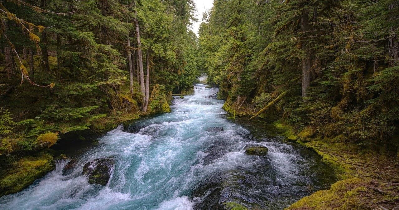 Half Day Kenai River Power Boat Salmon trip
