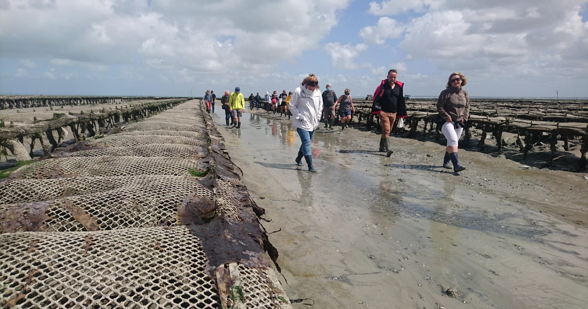 Cancale Oyster Farm Walking Experience