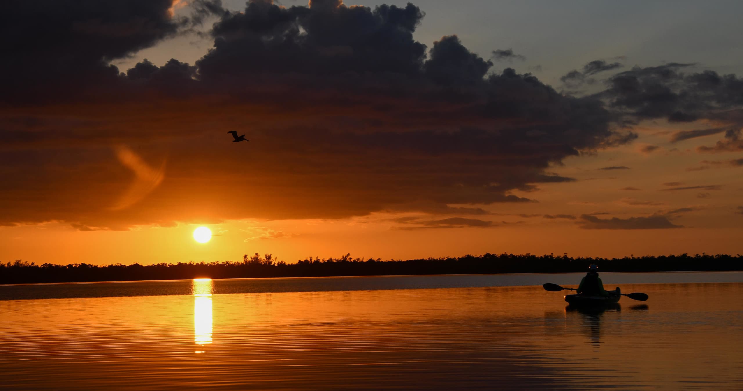Sunset Bird Rookery Kayak Tour