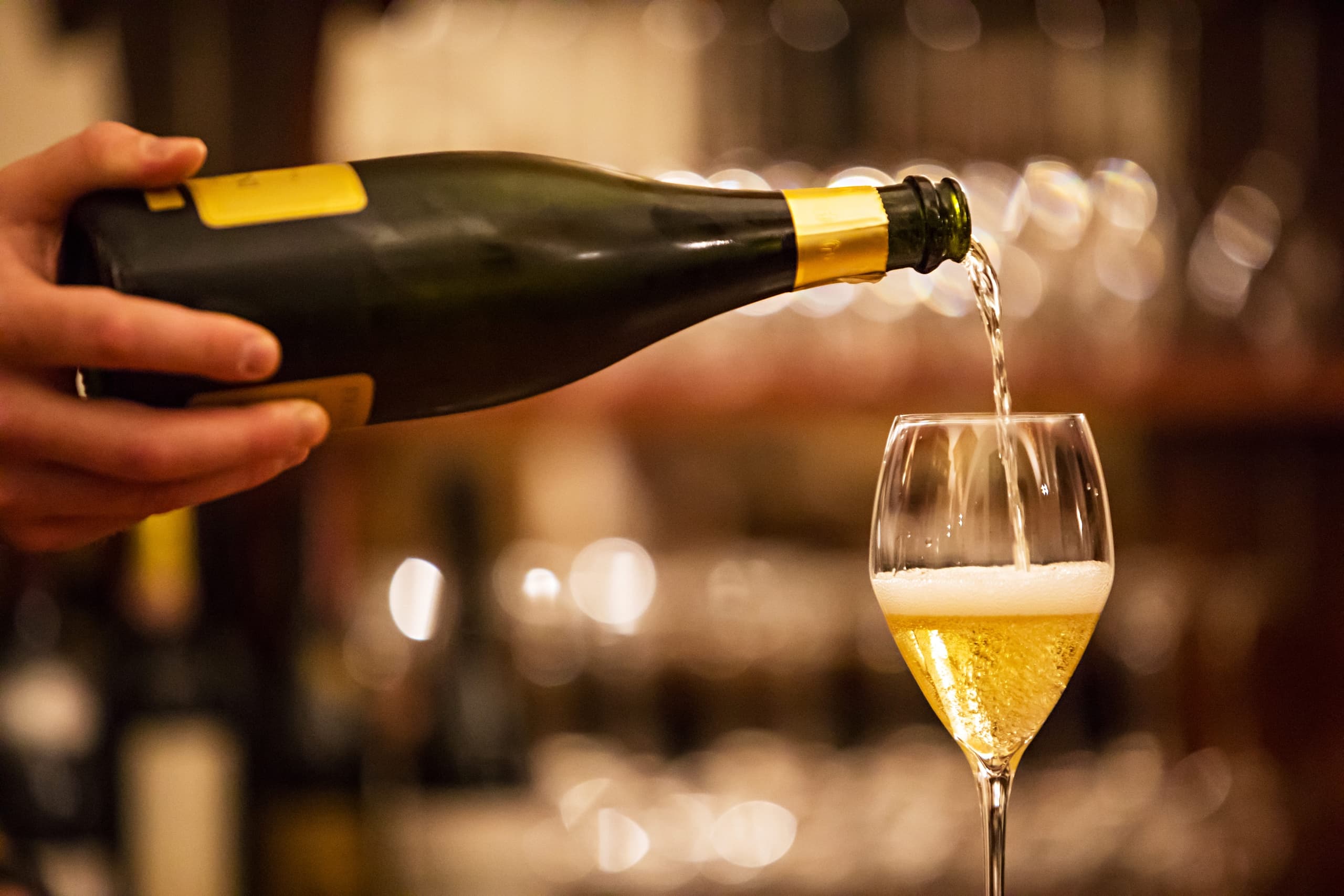 Wine Tasting Experience in Milan city centre