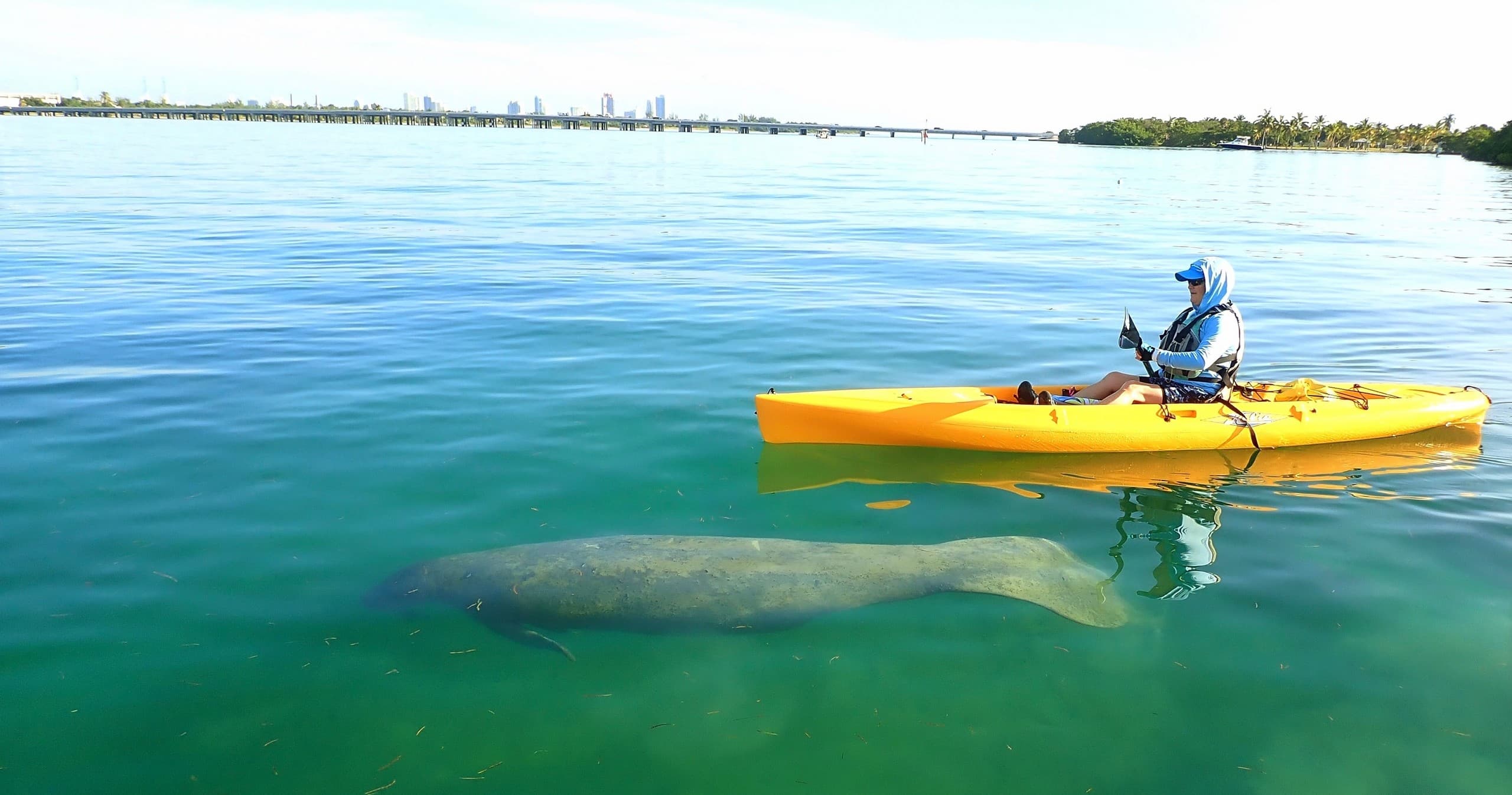 Private Guided Kayak Eco Adventure • Miami