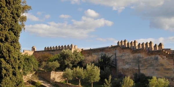 Discover Málaga