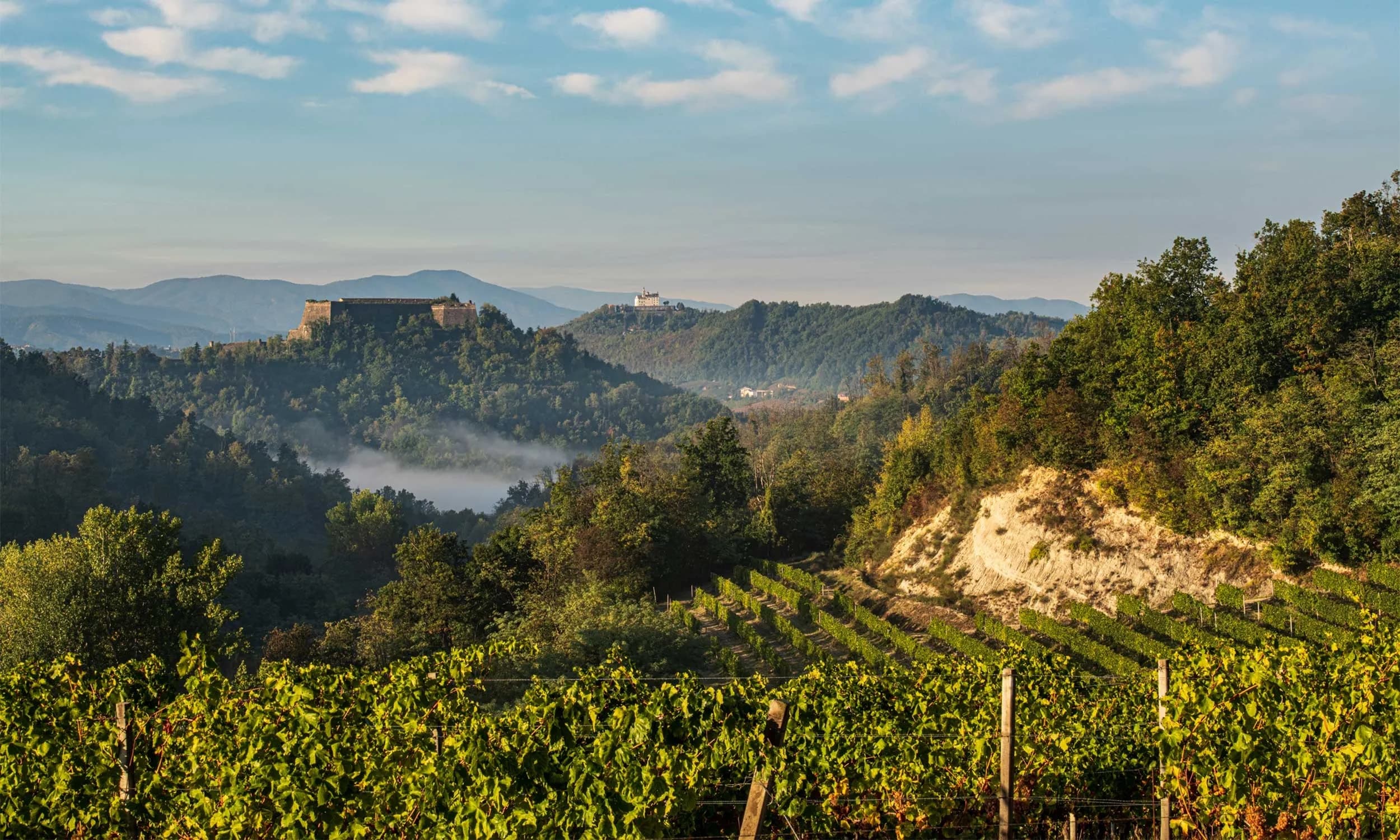 Panoramica sul Gavi
