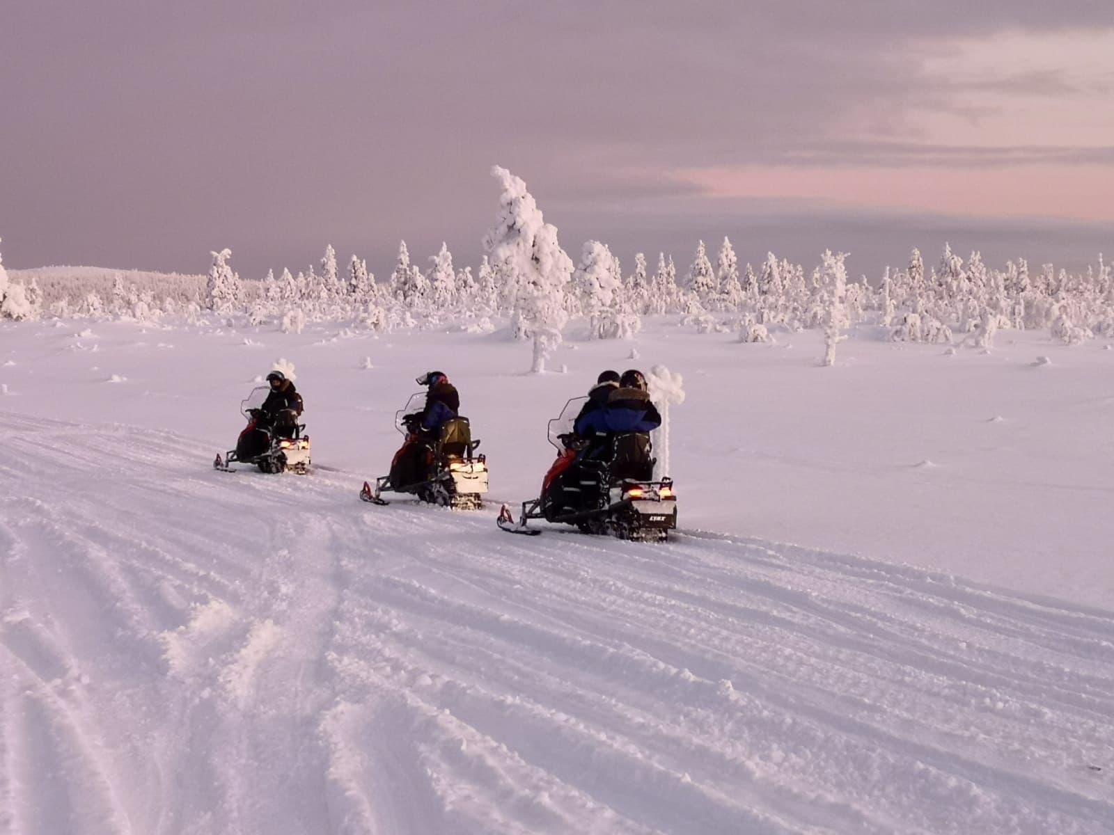 Snowmobile Adventure, 2 h