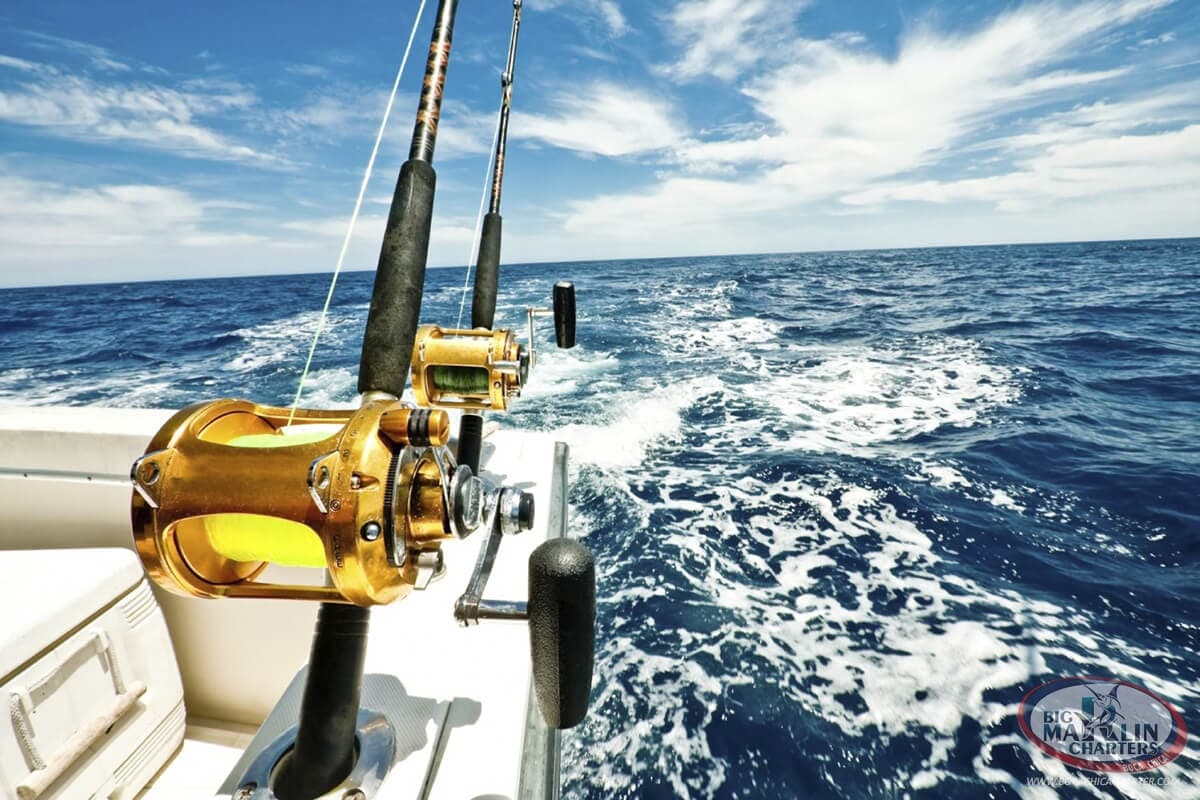 Excursión de Pesca