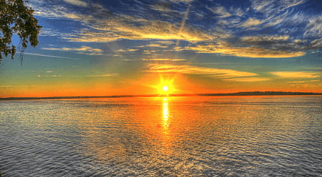 Sunrise Dolphin Tour