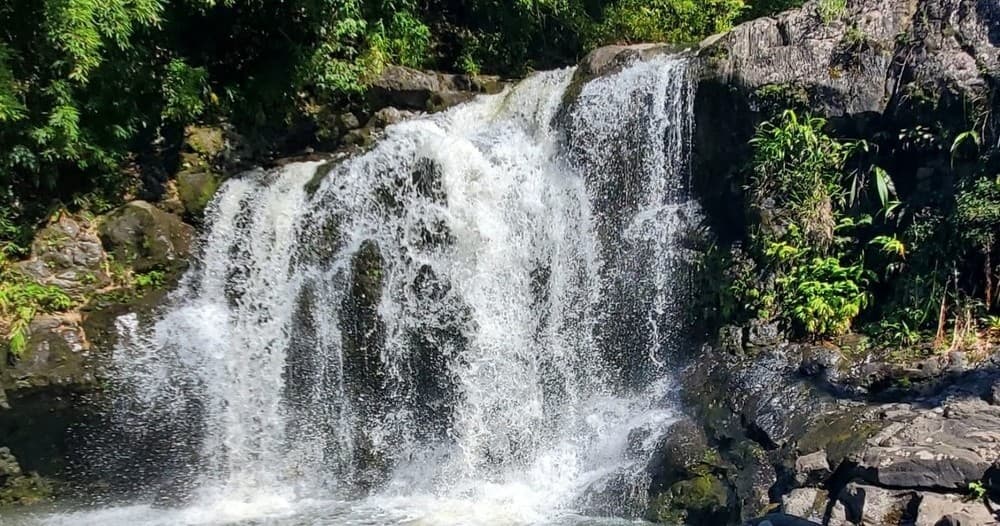 Half Day Waterfall Plunge