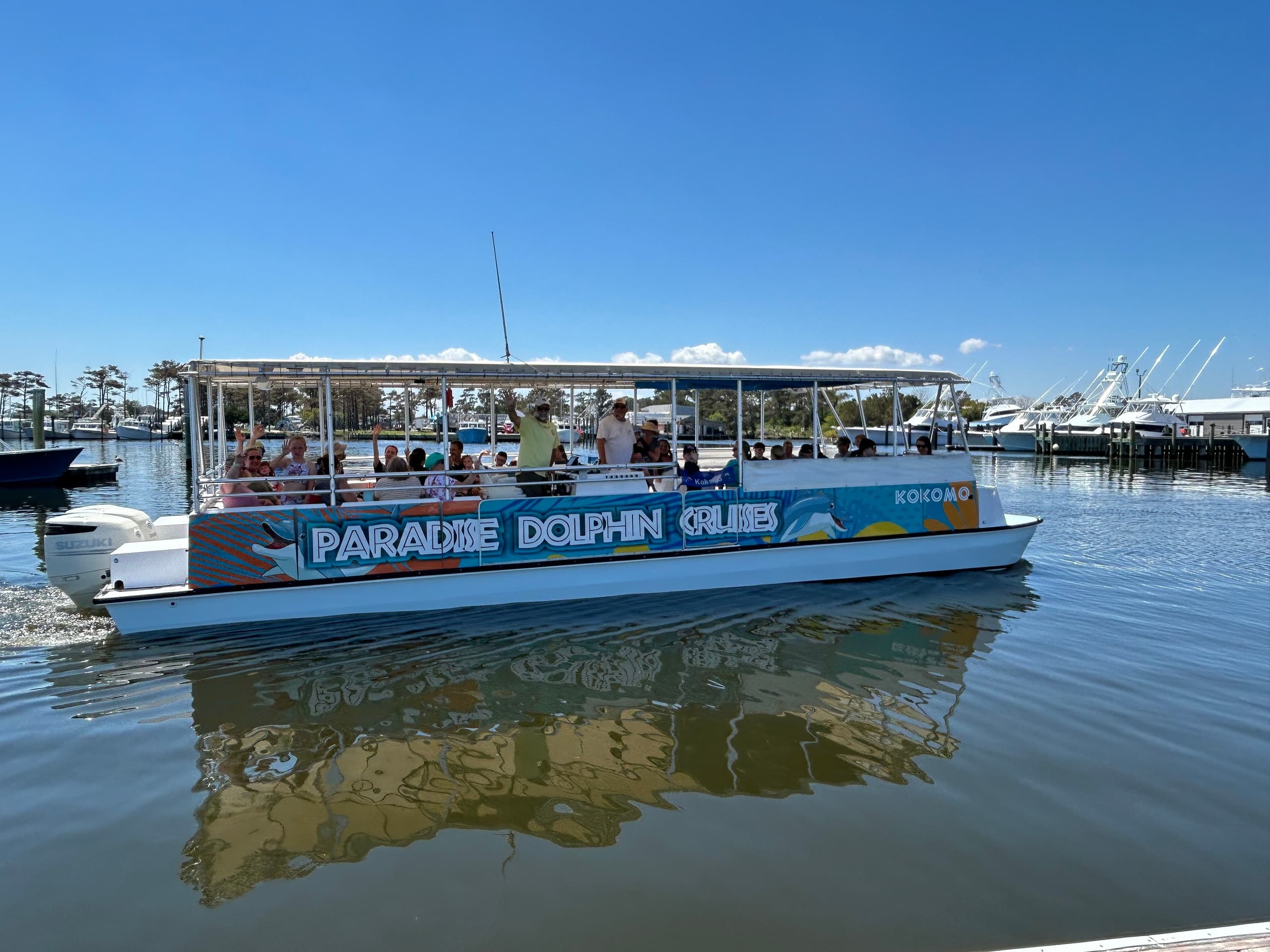 Dolphin Cruise