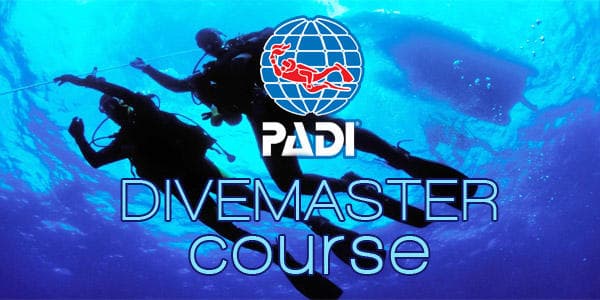DIVEMASTER INTERNSHIP