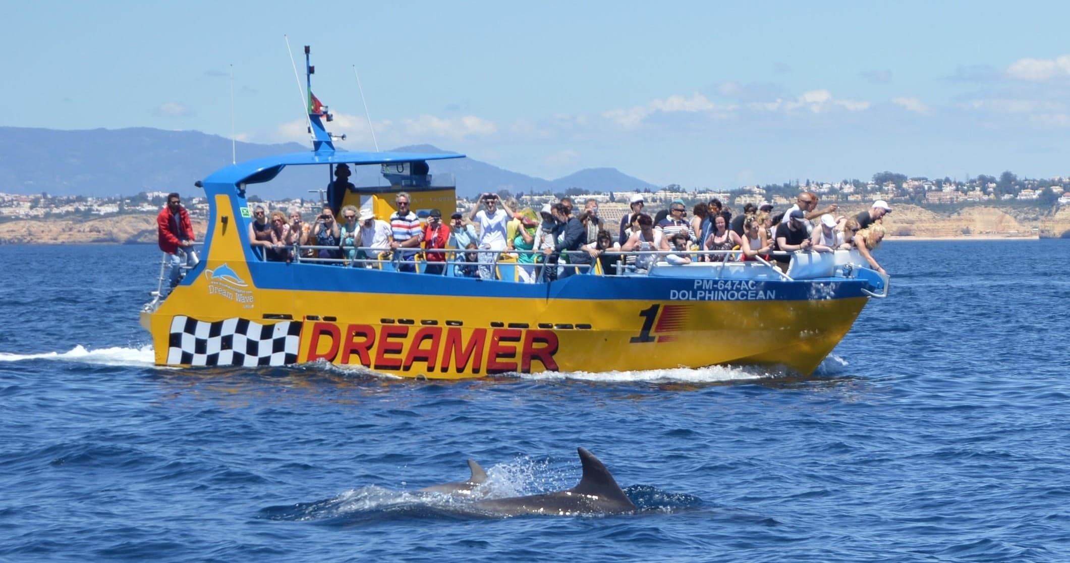 Dreamer - Caves & Dolphin Watching | Bestseller!