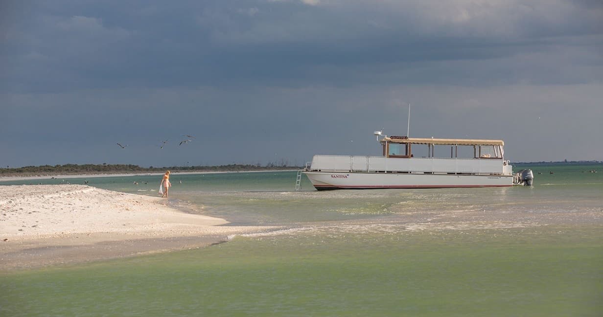 Cayo Costa Half Day Beach & Shelling