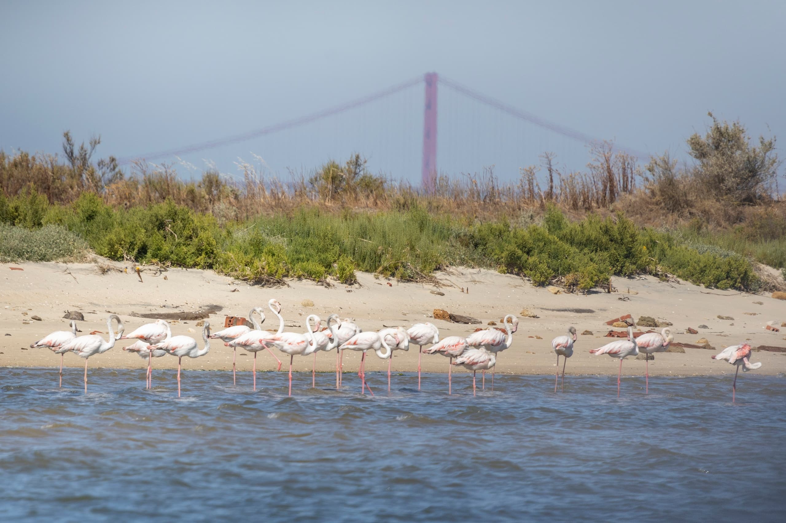 Birdwatching Tour