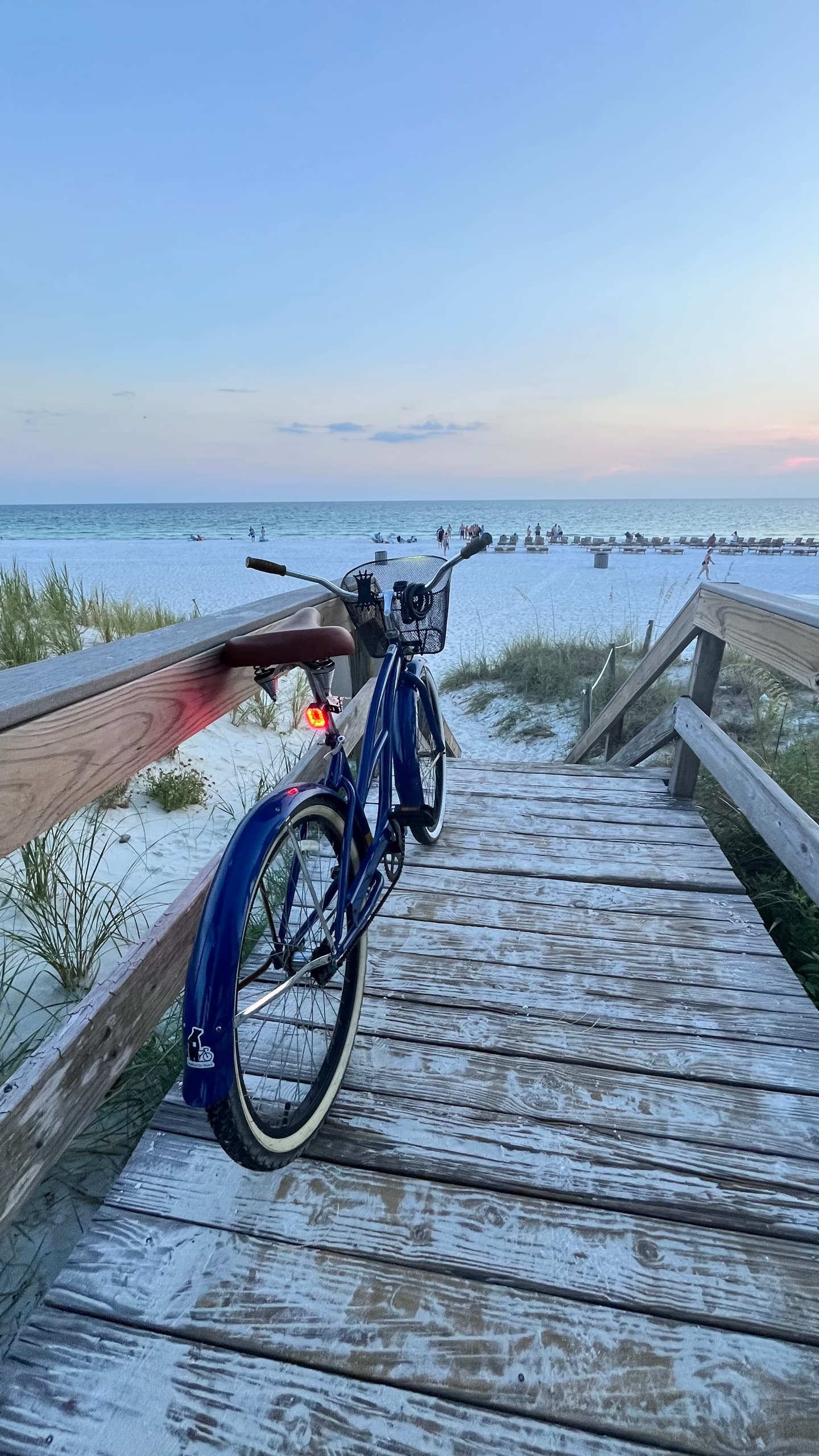 Cruiser Bike Rental