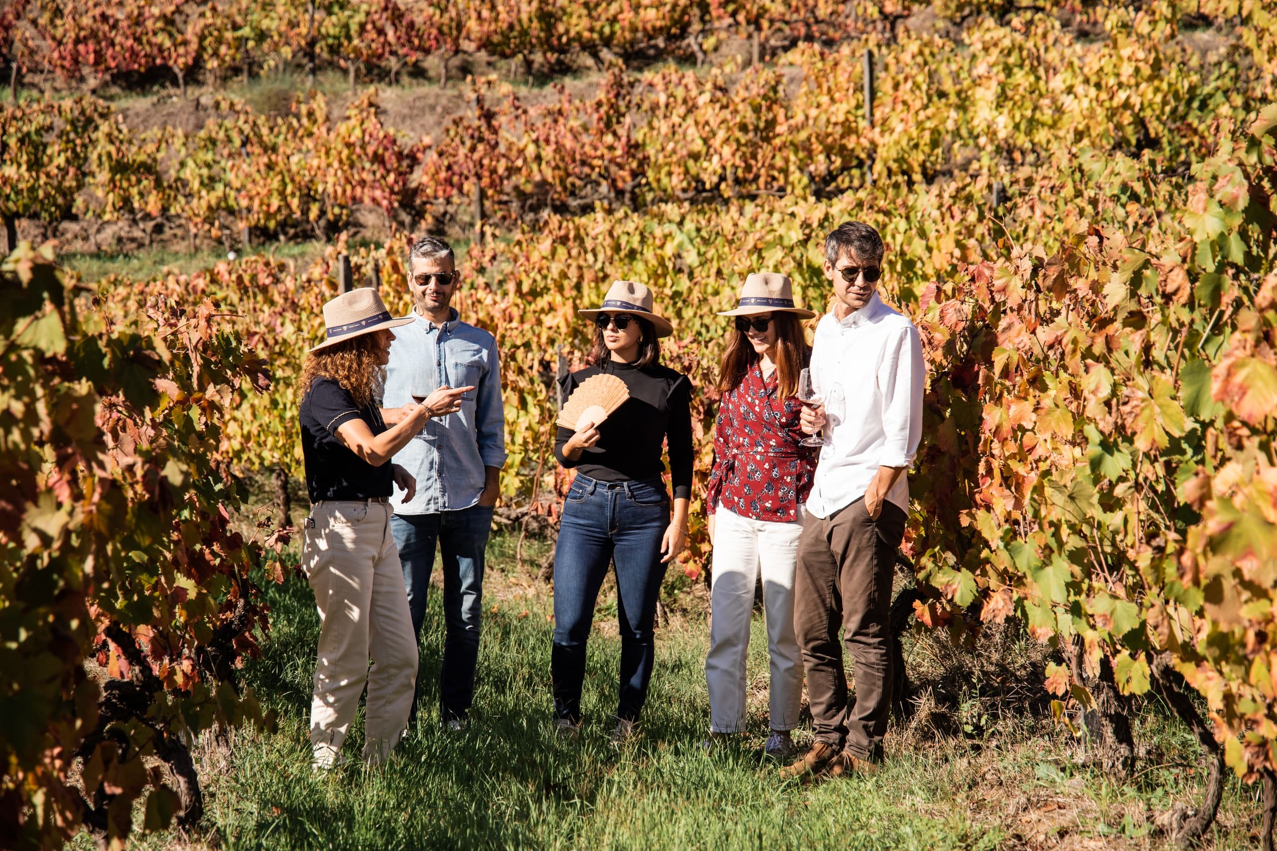 Casa da Vinha / Visita guiada com Prova de vinhos Douro DOC