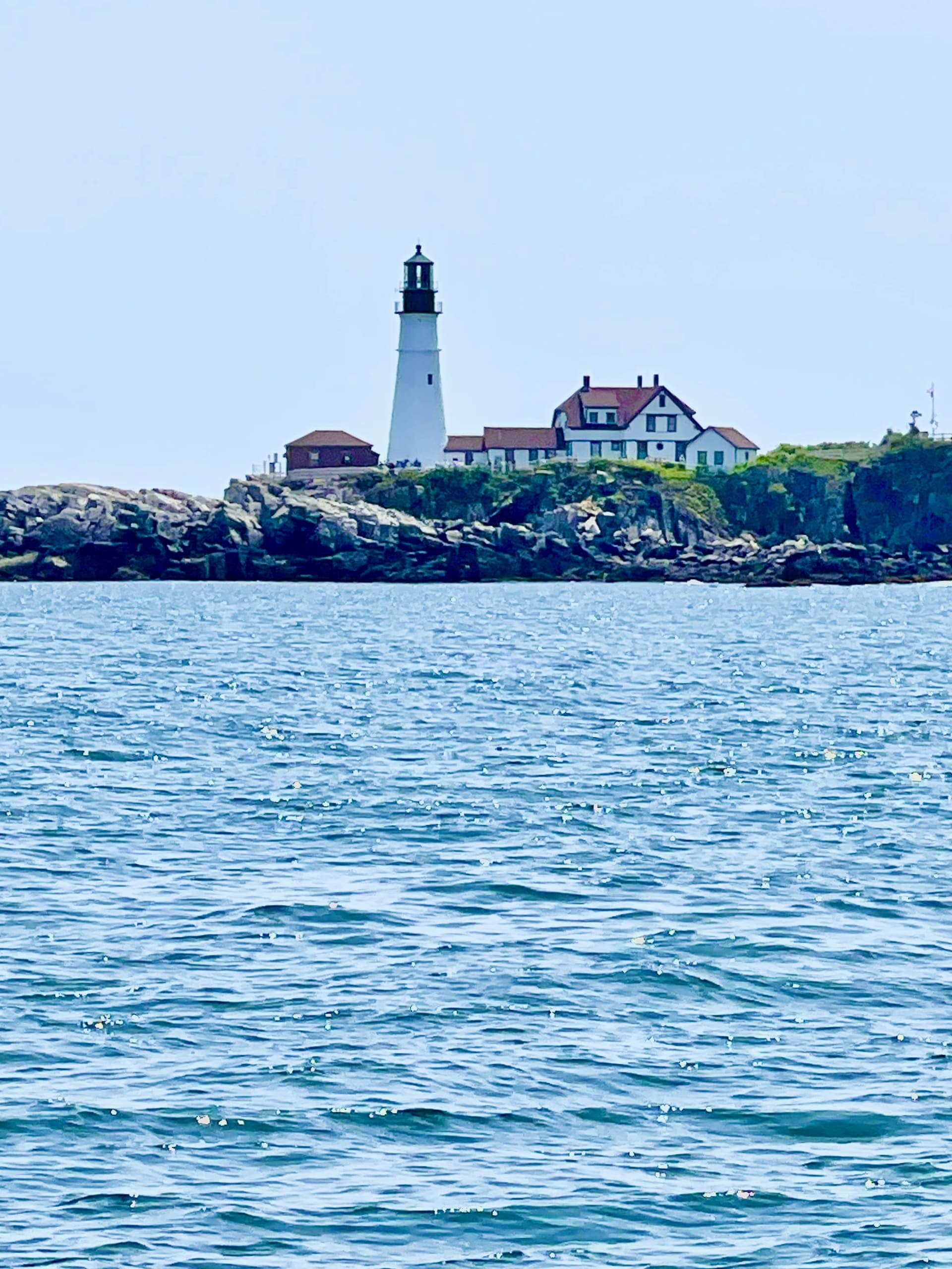 Harbor Cruise