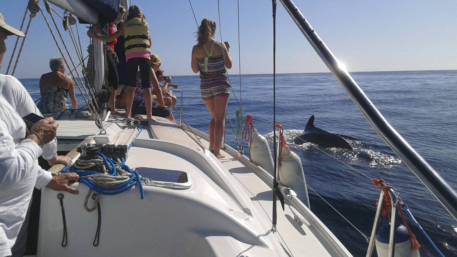 El desayuno de SeaquestFF