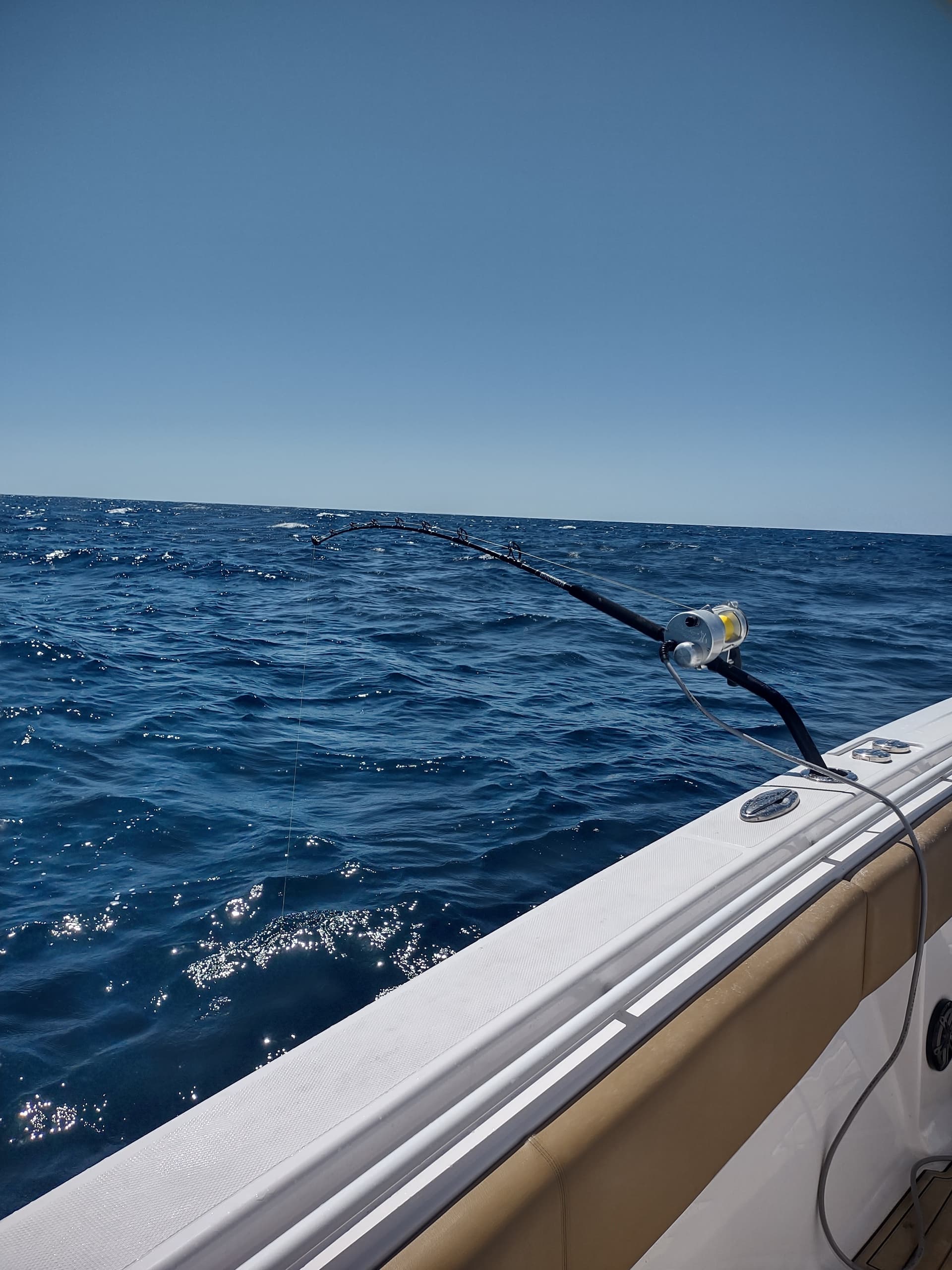 Daytime Swordfish