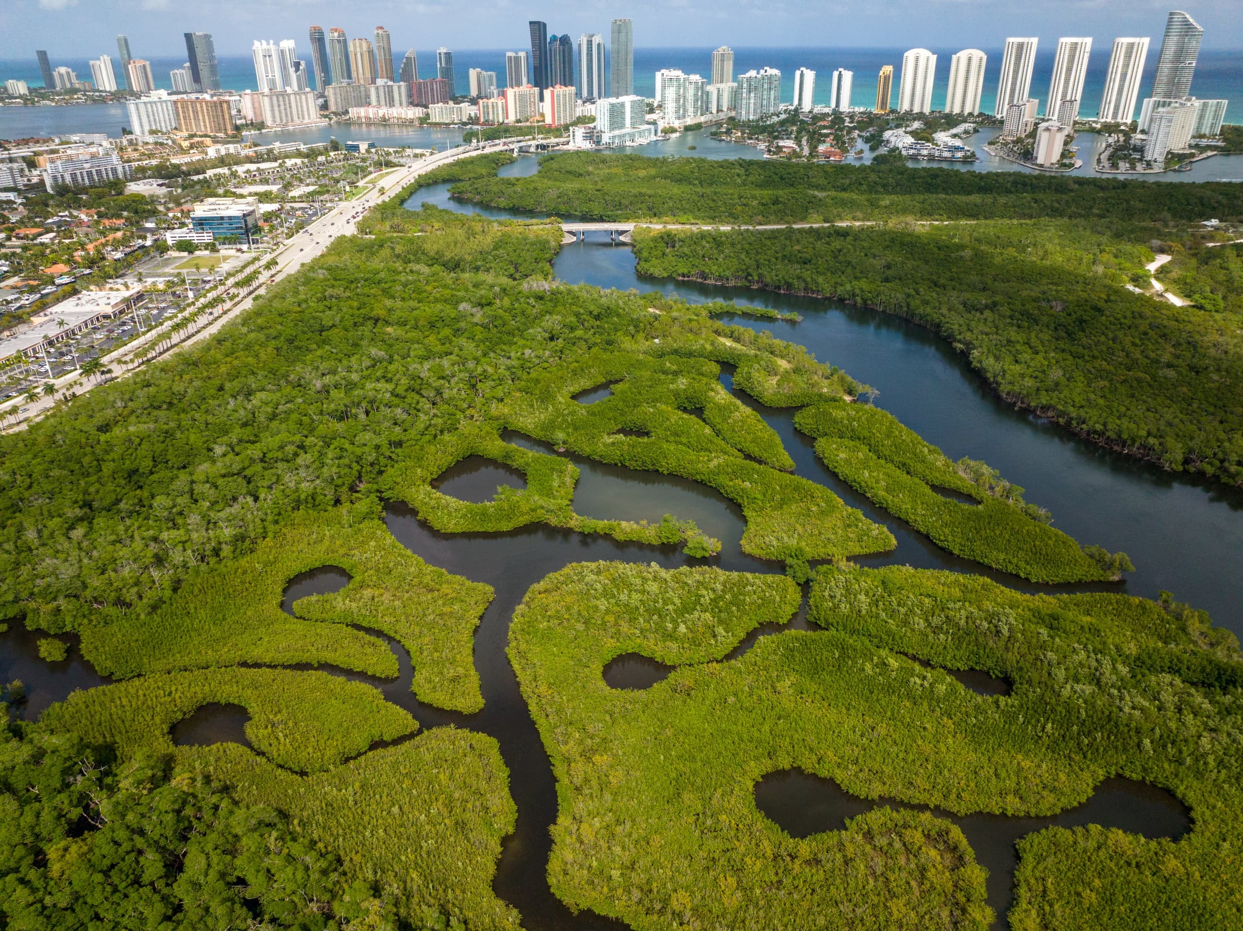 Miami Clear Kayak Tour