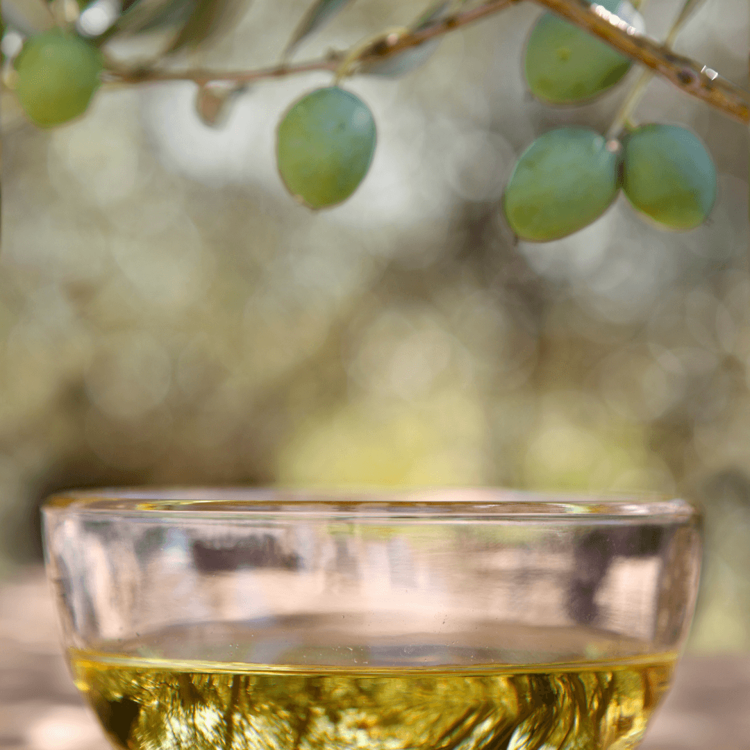 Umbria Olive Oil Tour