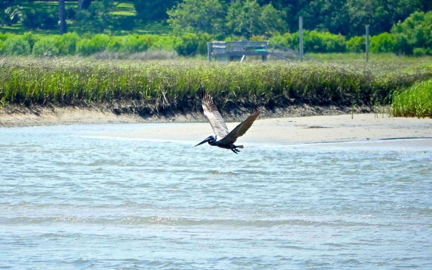 Afternoon Sail