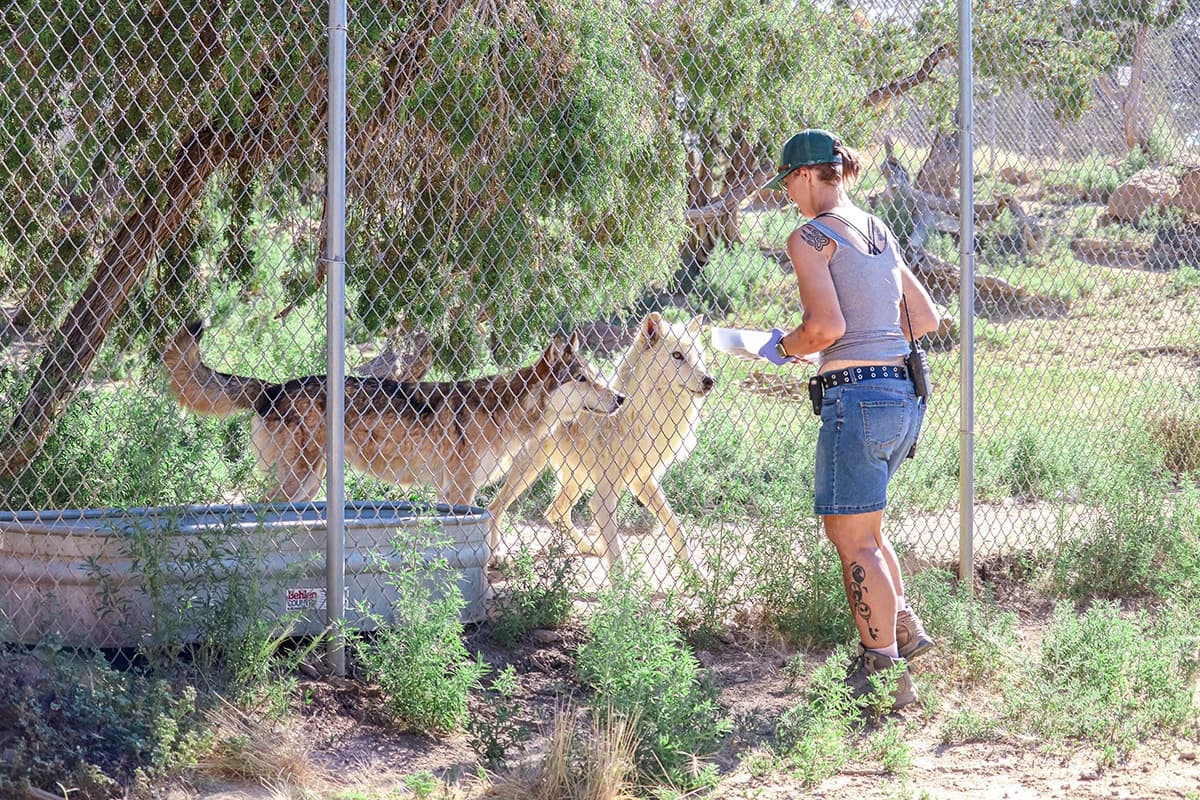Keeper For A Day