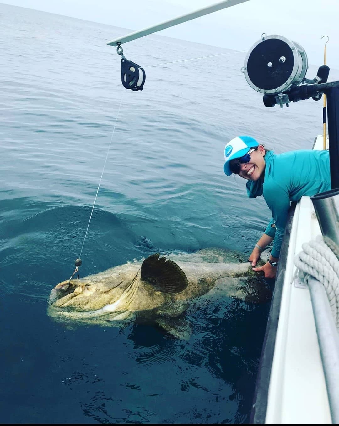 Goliath grouper expirence