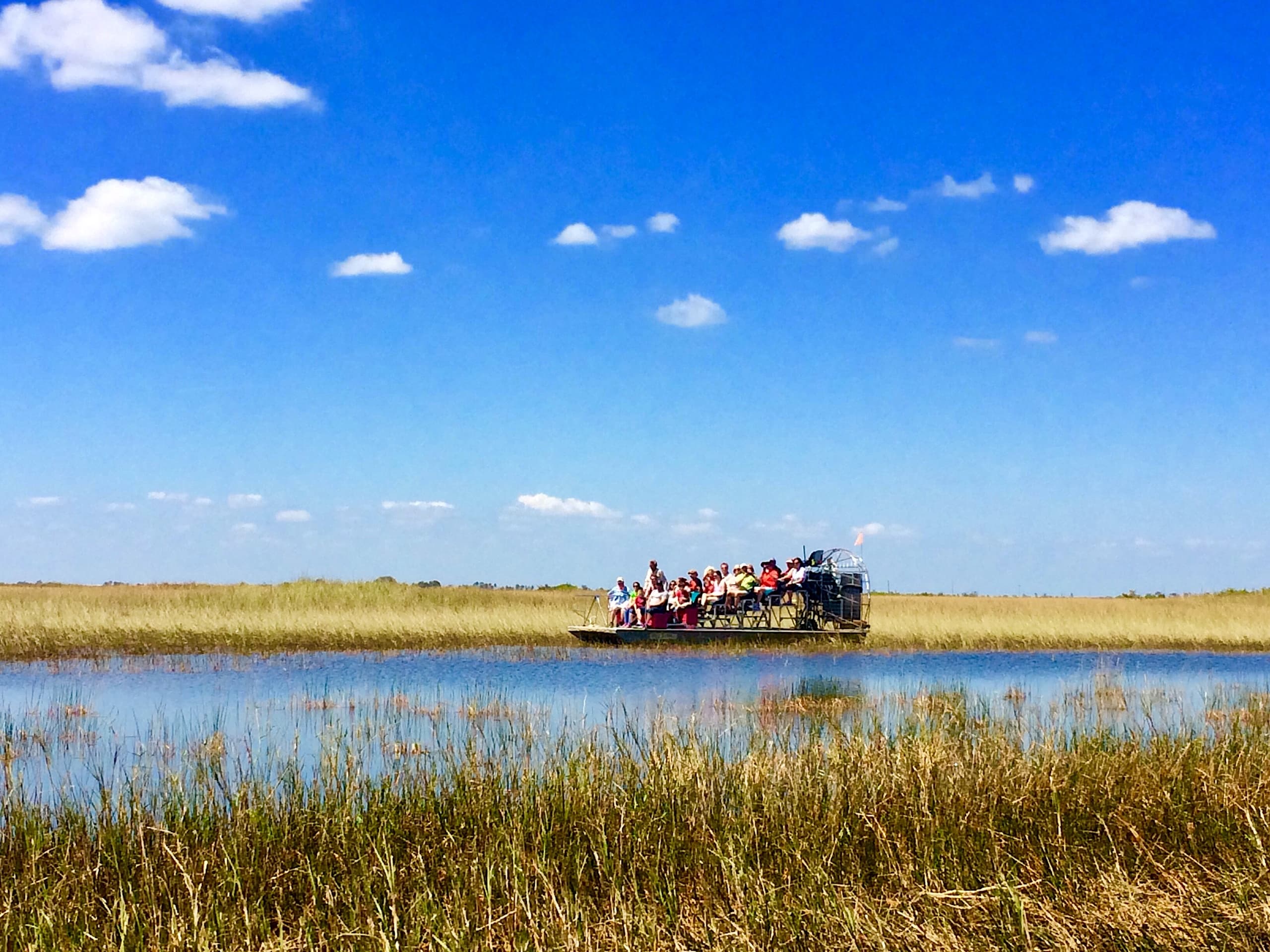 from South Beach: Everglades Airboat Tour incl. transportation