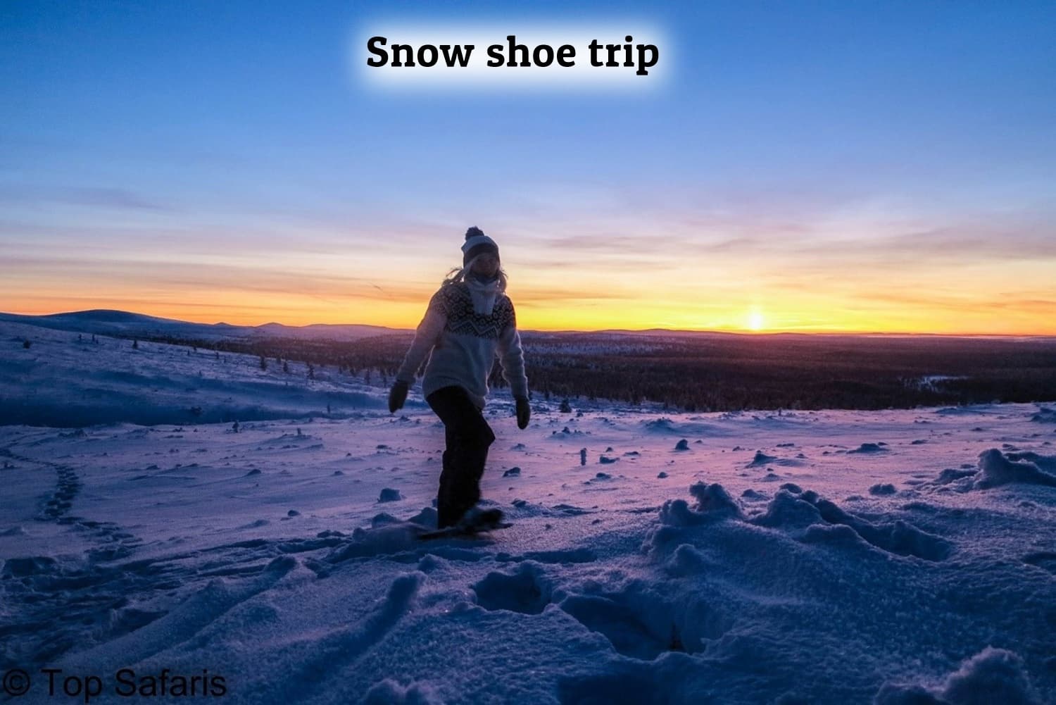 Snowshoe Wandering through the Forest 1,5 h