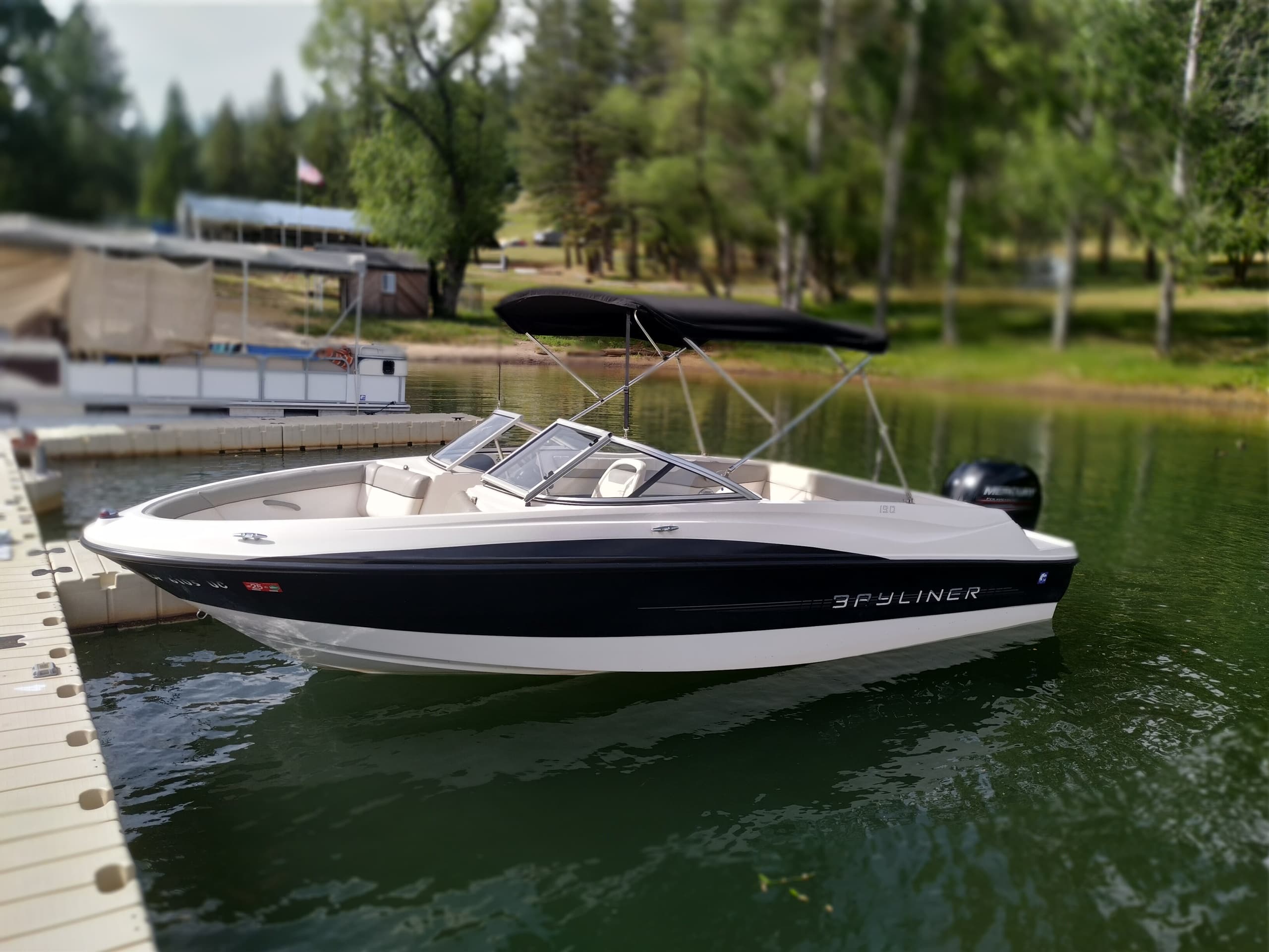 Bayliner 8-Person Open Bow Boat