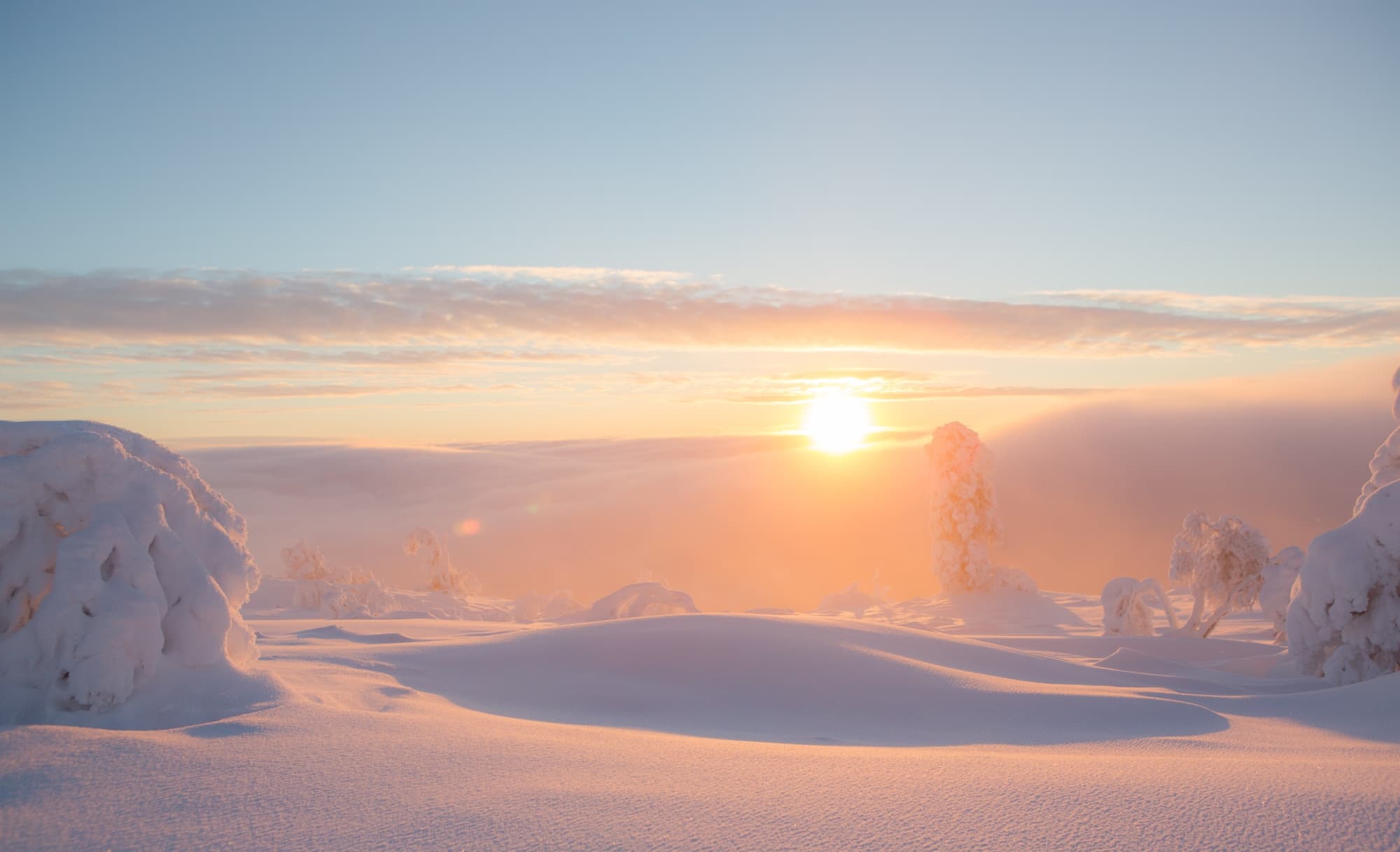 Sport cross country skiing in Saariselkä