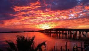 Private Sunset and Dolphin Cruise-Up to 16 Passengers