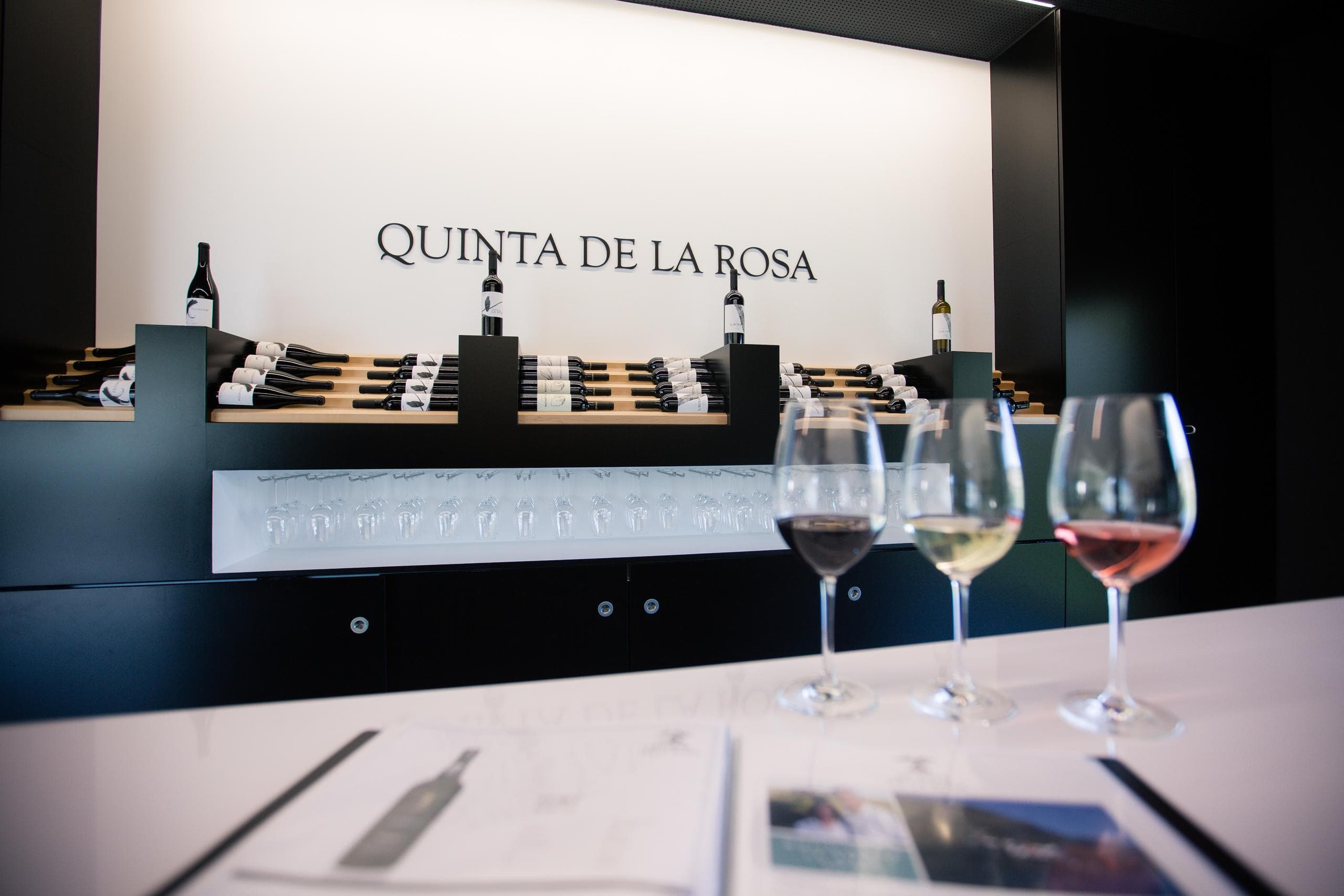 Visita Privada & Prova de Vinhos Premium