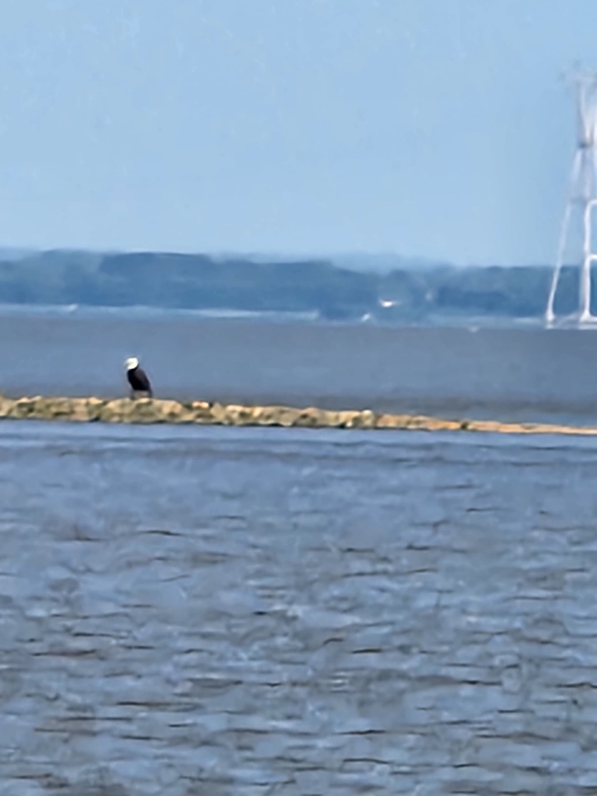 Oakwood Beach tour