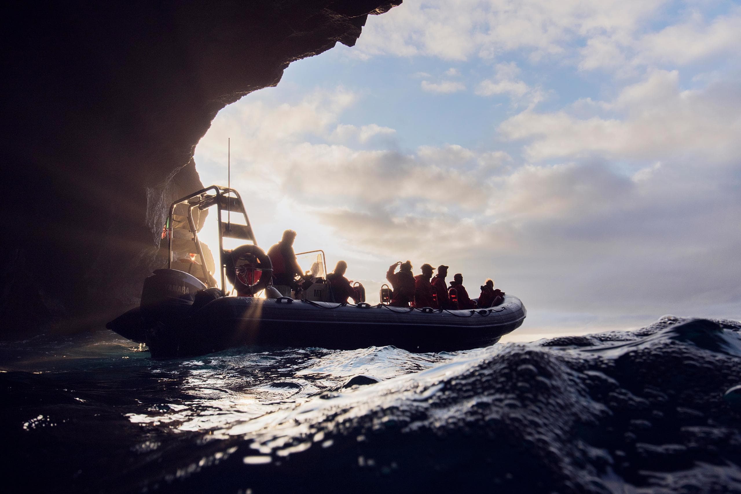 Private Whale Charter