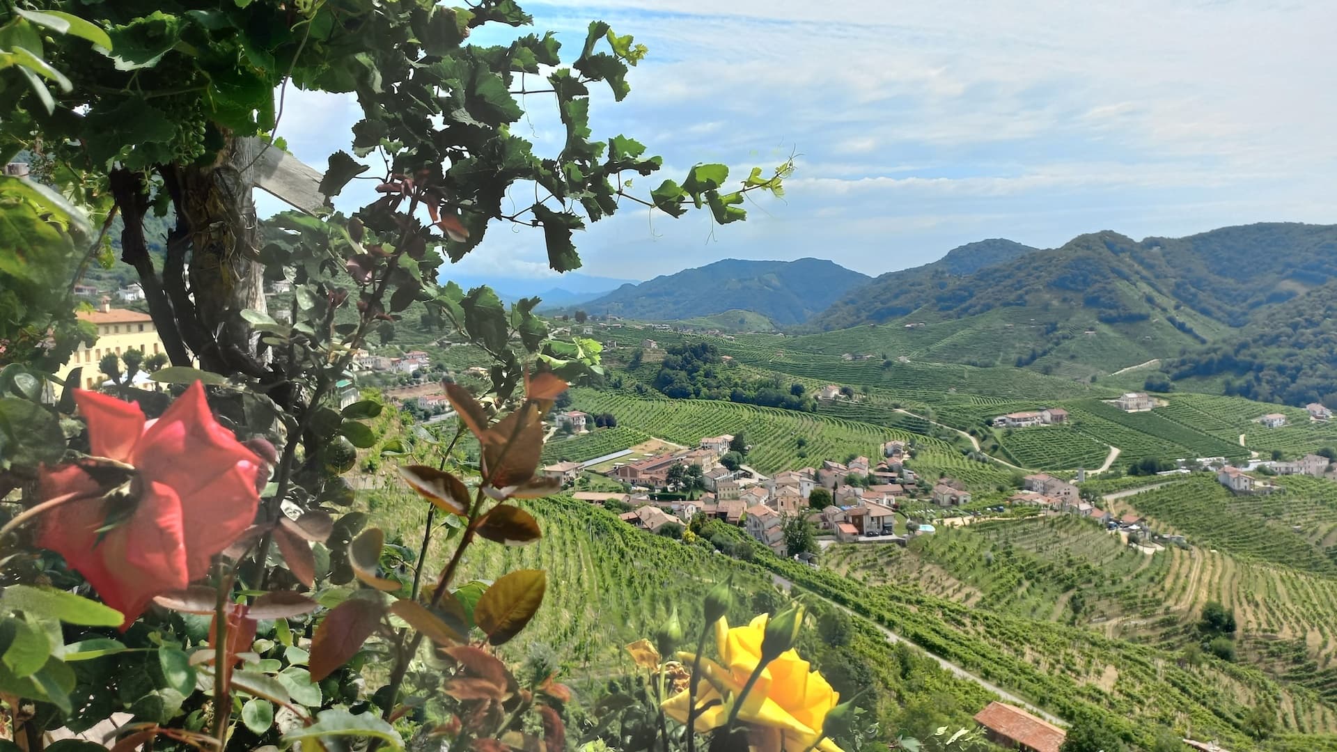 Prosecco hills wine and food tour from Venice and Treviso