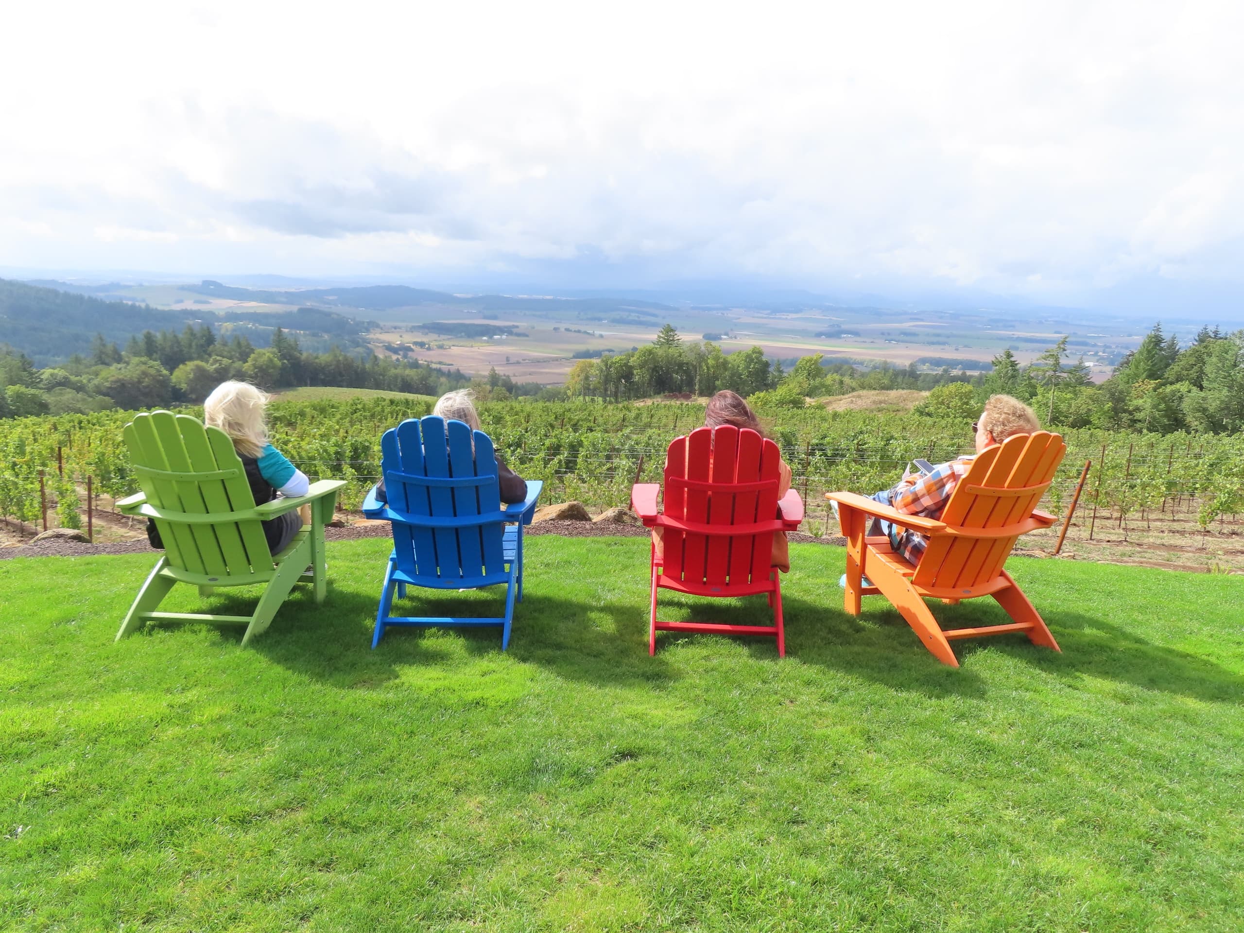 Willamette Valley Boutique Winery Tour with Lunch