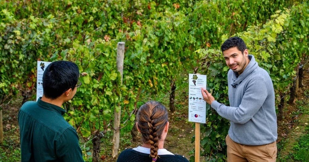 Discovery Visit & Wine Tasting Experience