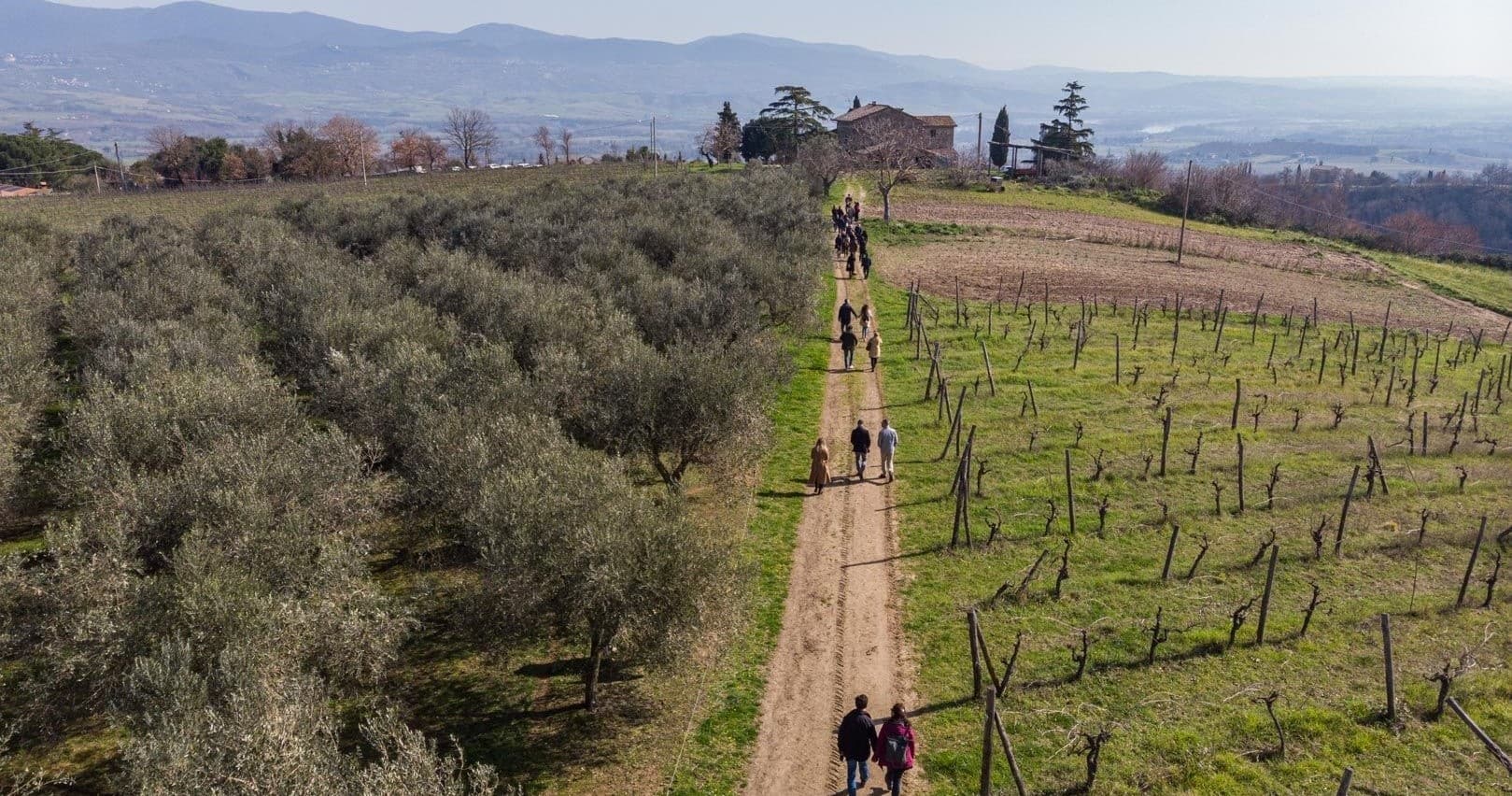 Flavors and Landscapes of Umbria and Tuscia