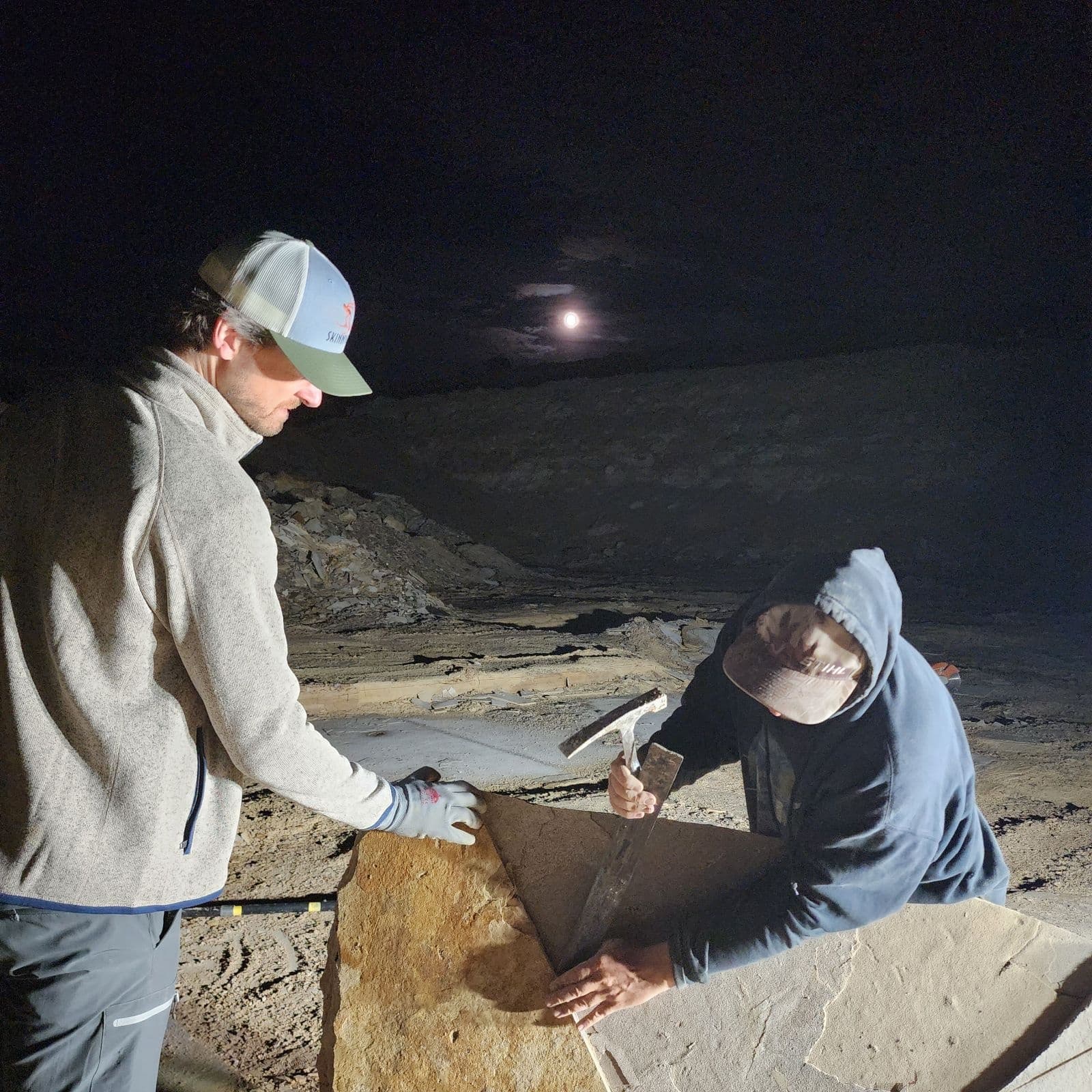 Baseline Nighttime Paleontology Experience