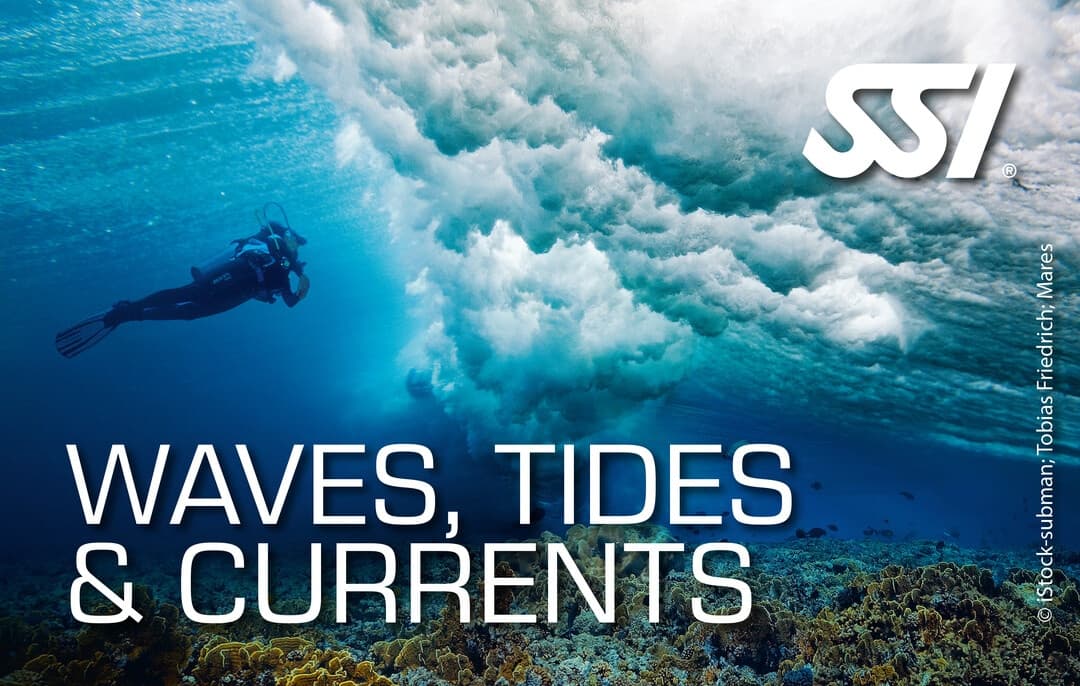 Wave,Tides & Currents