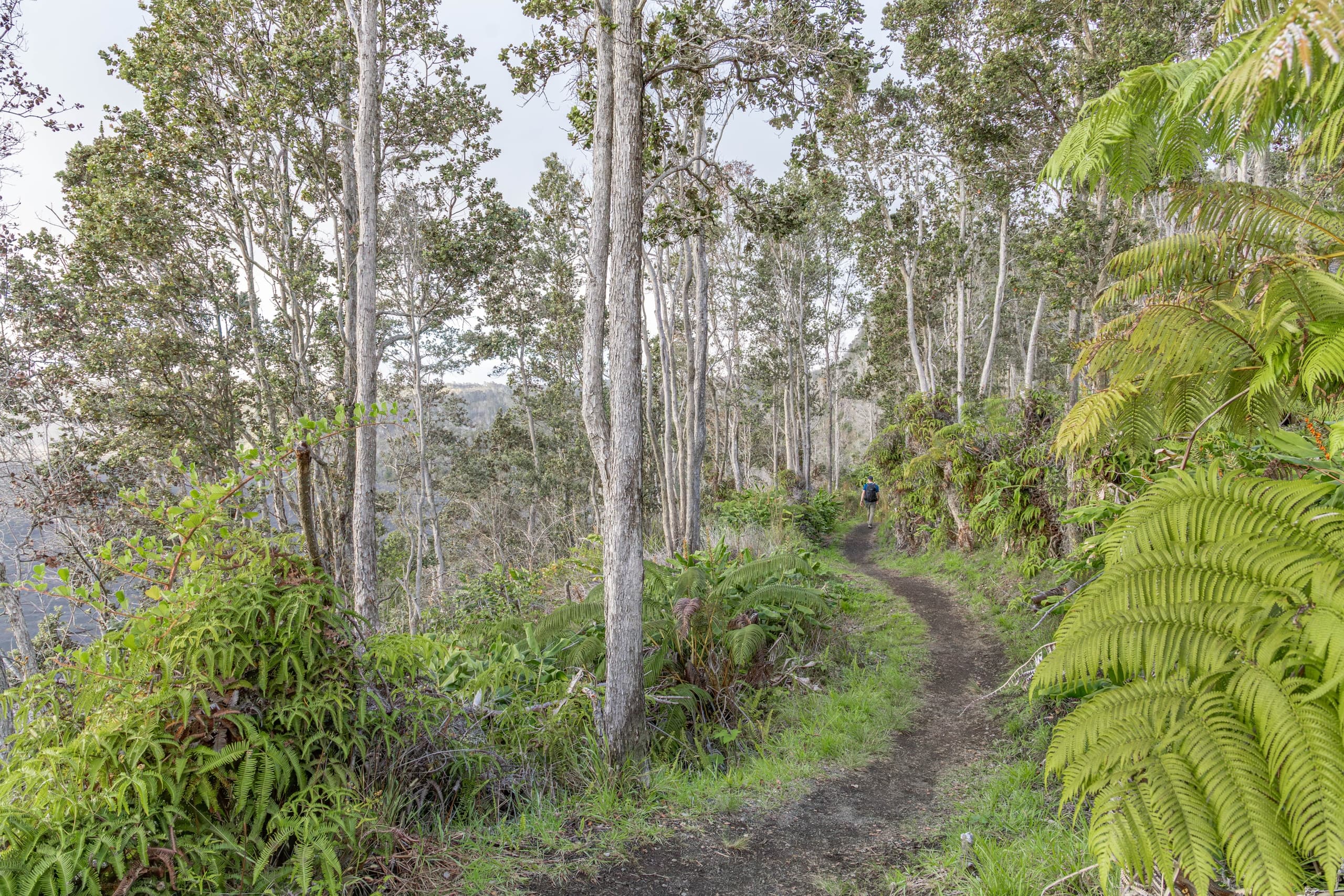 Hiking Hawaii Volcanoes National Park