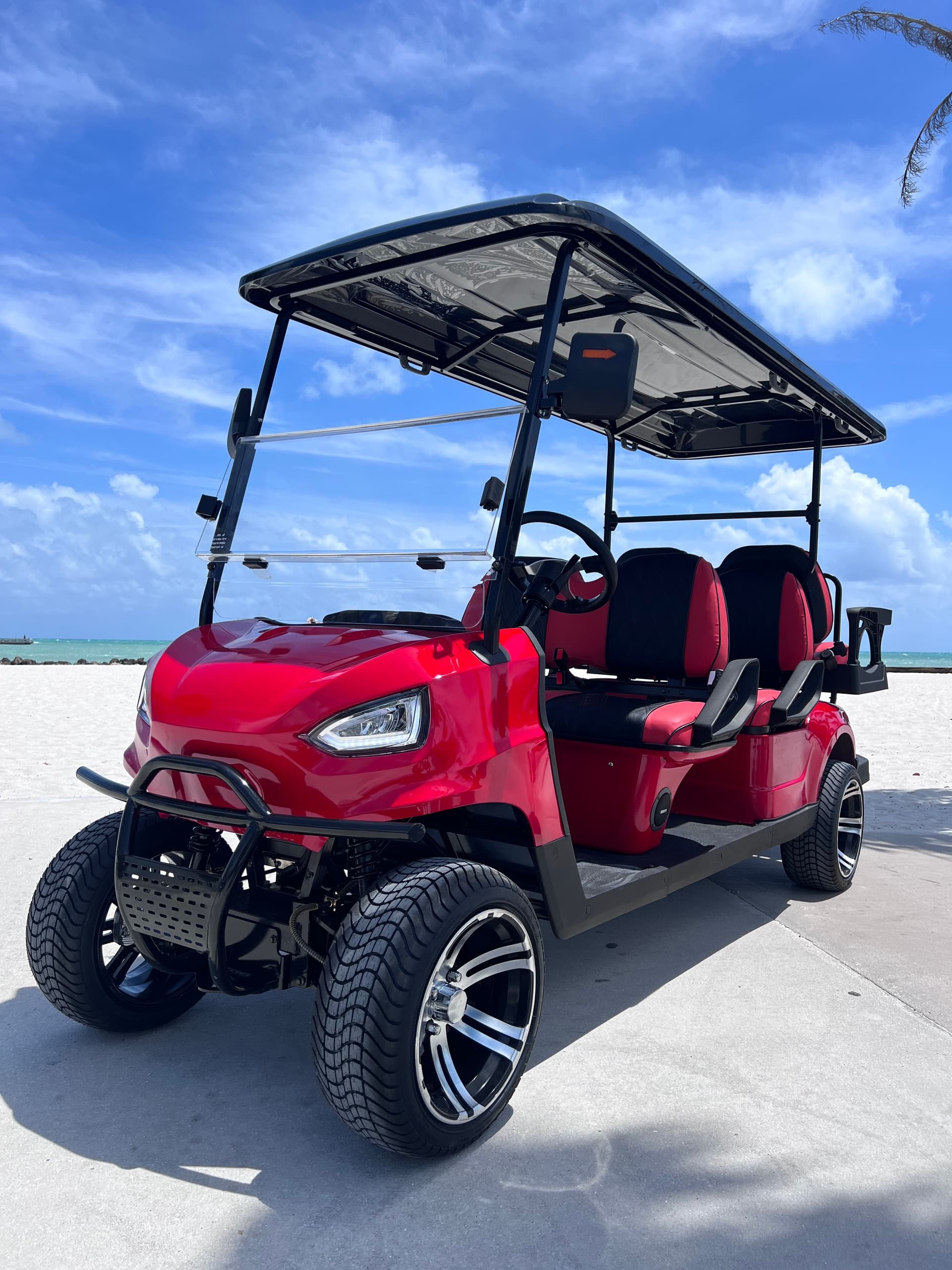 Six-Passenger Cart Rental