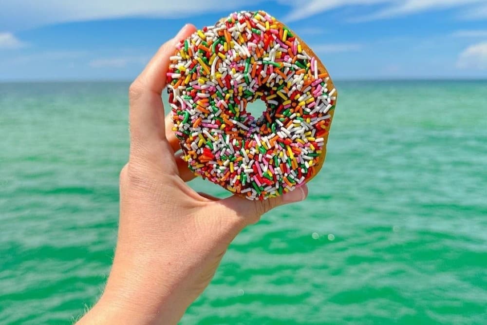 Dolphins & Donuts