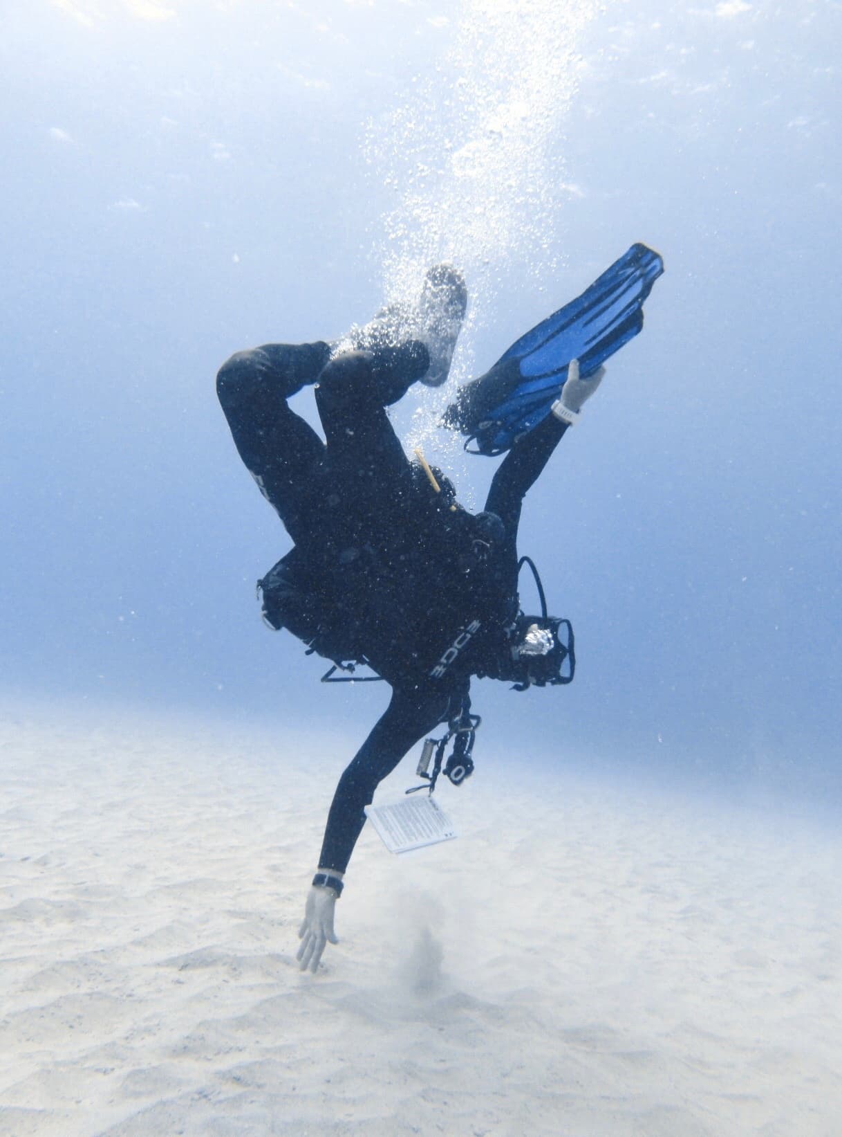 Divemaster Course