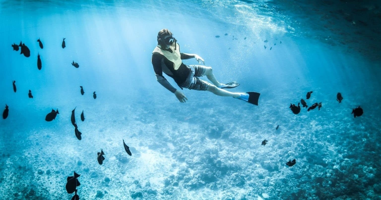 Half day diving